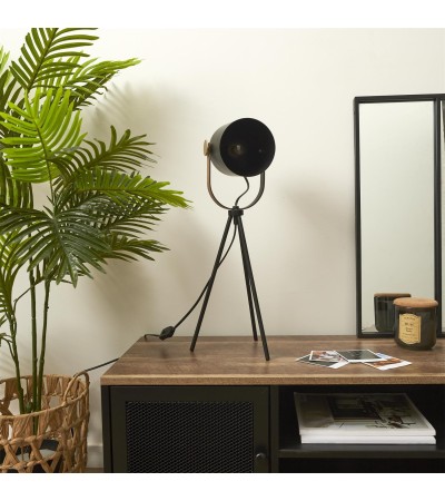 LAMPE A POSER INDUS METAL NOIR M4