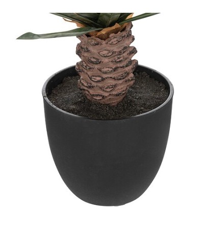 Palmier Dolce Riviera haut 52 cm avec pot plastique