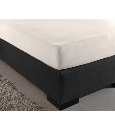 Drap housse Jersey 135 gr Crème 140 x 200